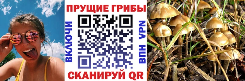 Галлюциногенные грибы Magic Shrooms  наркотики  Рыбинск 