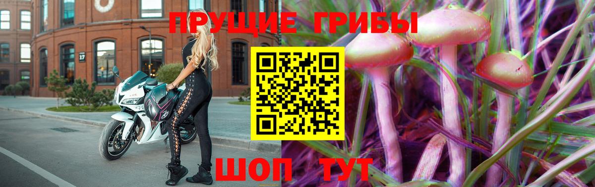 Псилоцибиновые грибы Psilocybe Рыбинск
